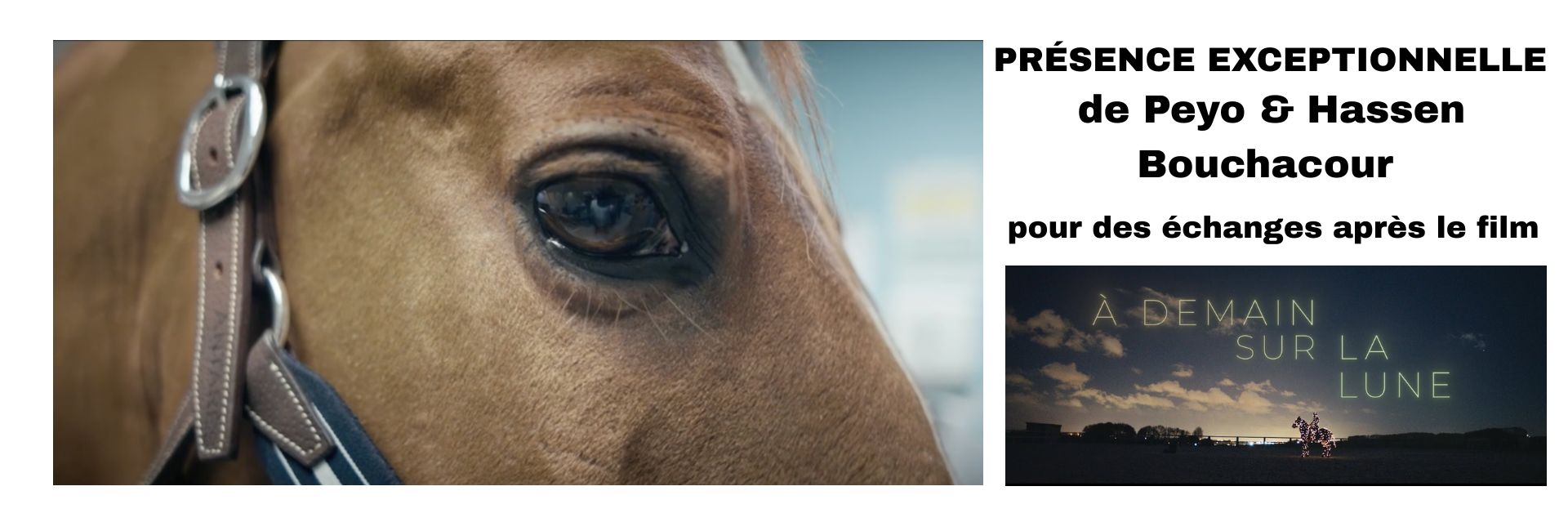 Rencontre avec Peyo