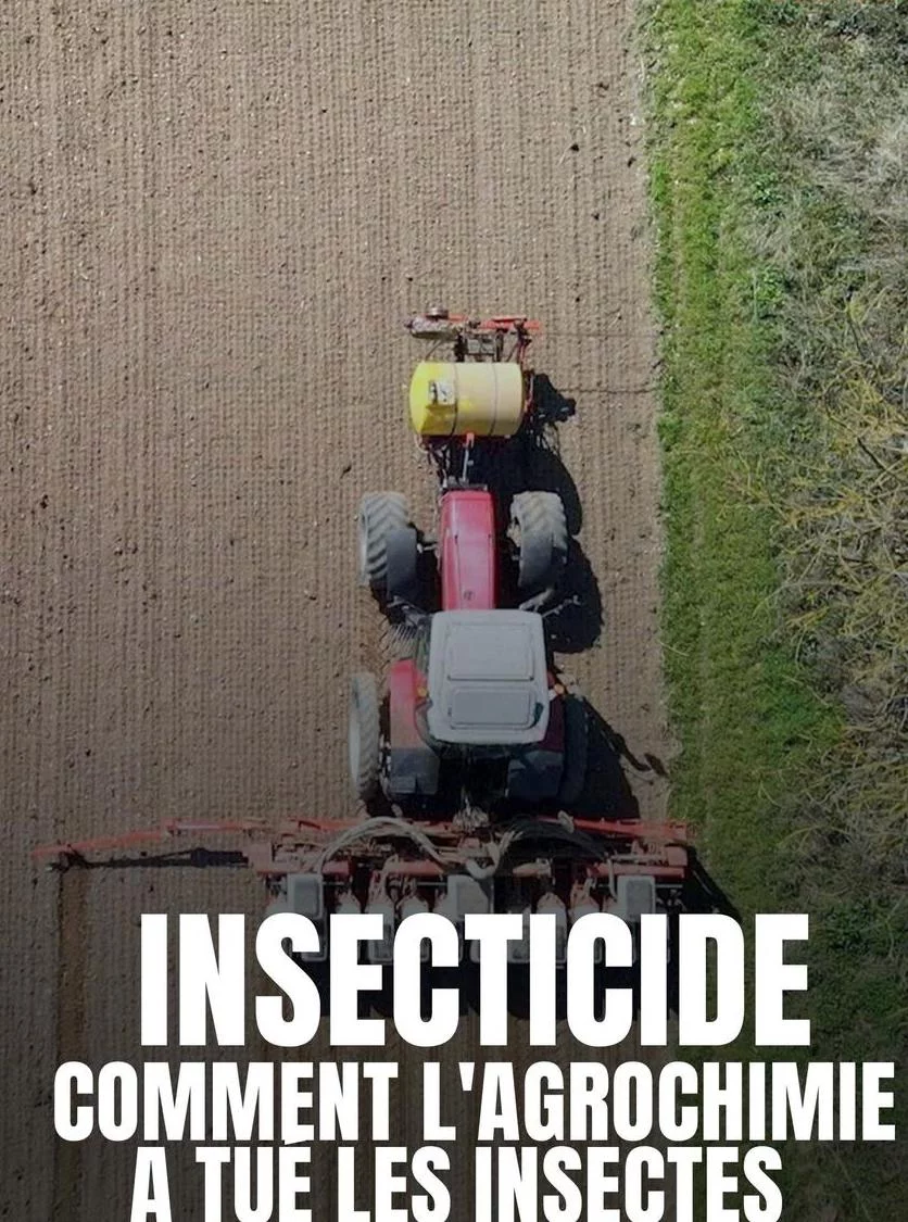 Affiche du film Insecticide Comment L Agrochimie A Tue Les Insectes